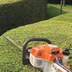 hedge-trimming