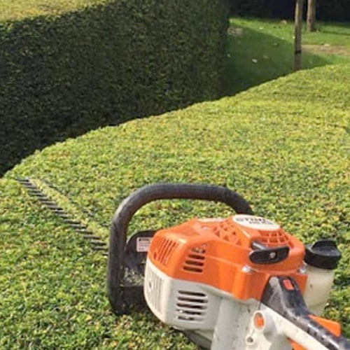 hedge-trimming